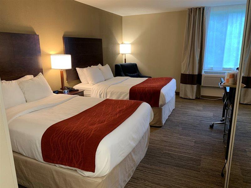 Comfort Inn & Suites East Hartford - Hartford Extérieur photo
