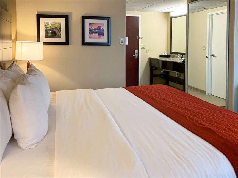 Comfort Inn & Suites East Hartford - Hartford Extérieur photo