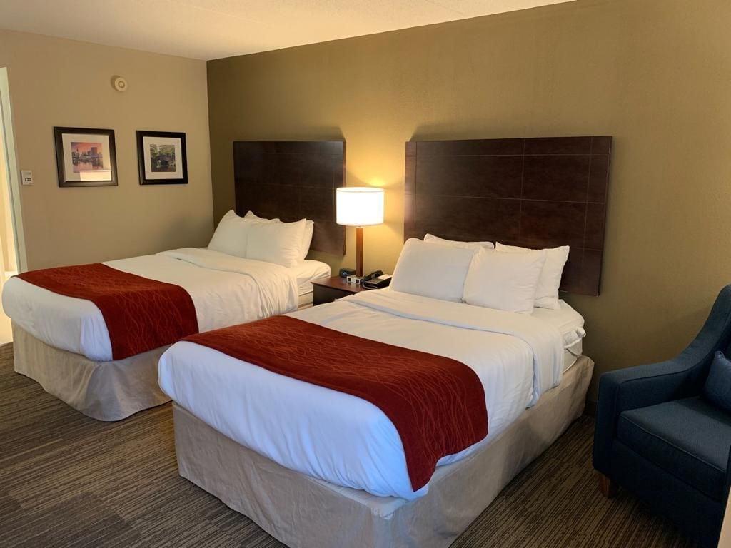 Comfort Inn & Suites East Hartford - Hartford Extérieur photo