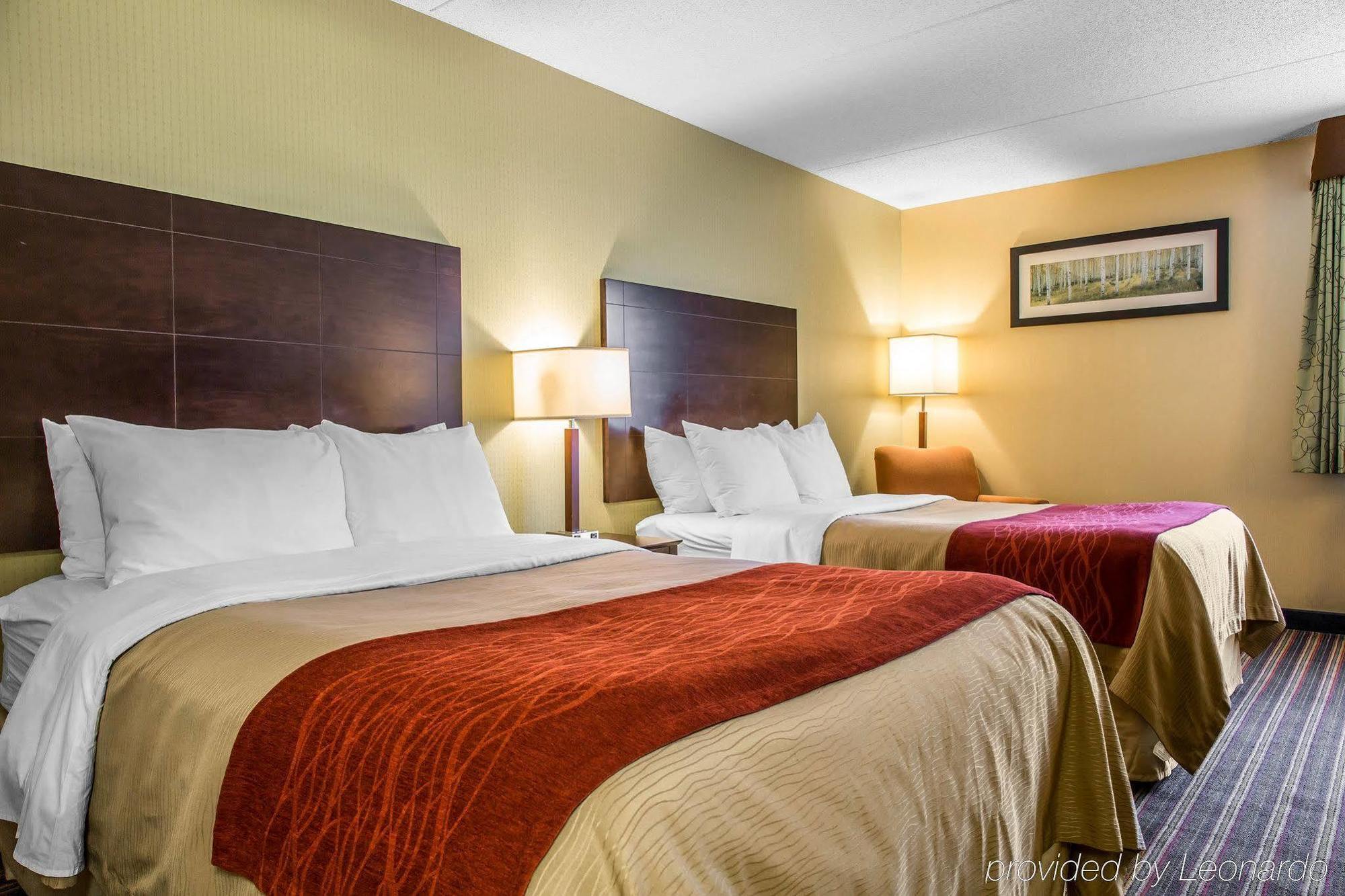 Comfort Inn & Suites East Hartford - Hartford Extérieur photo